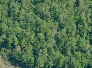 1132 Mill Run Rd, Altoona, PA 16601