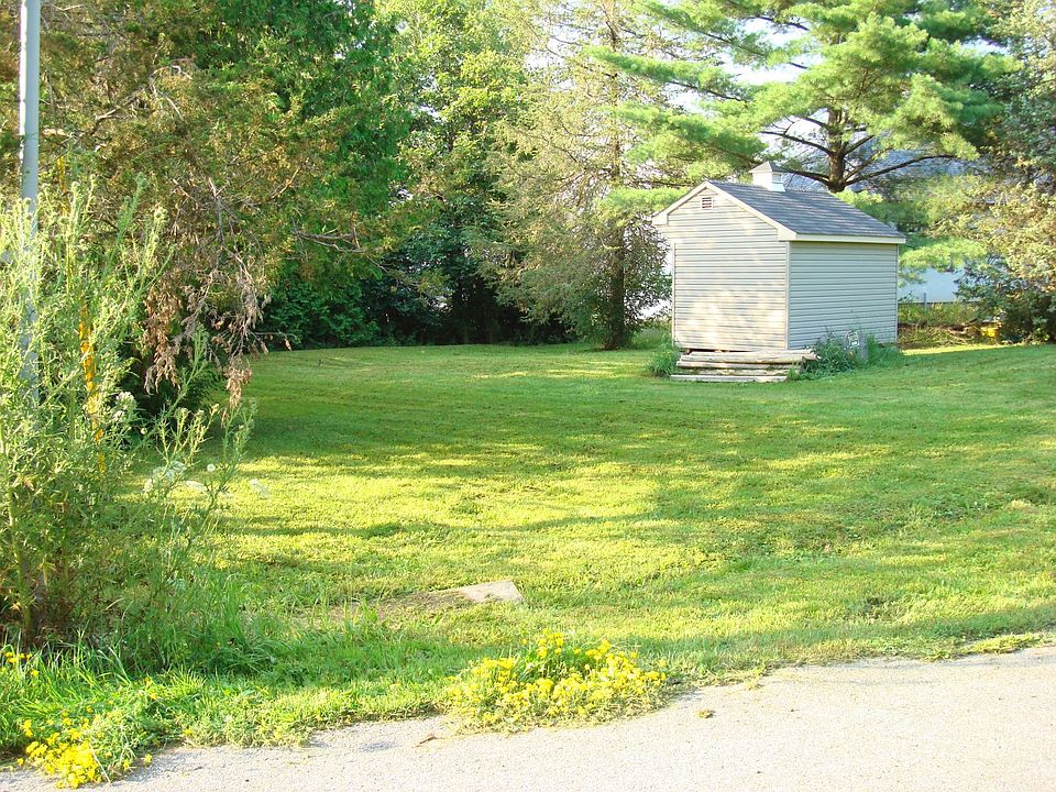 Green grass view