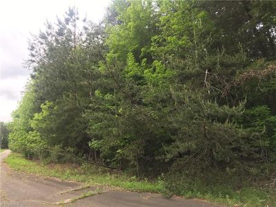 0 Trinity Place Ct, Lewisville, NC, 27023