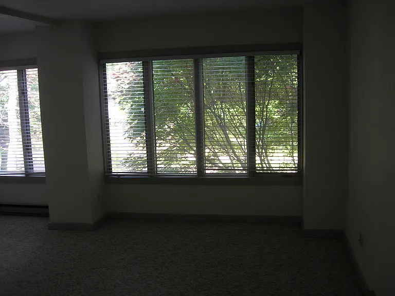 319 N Park Ave — Photo 23