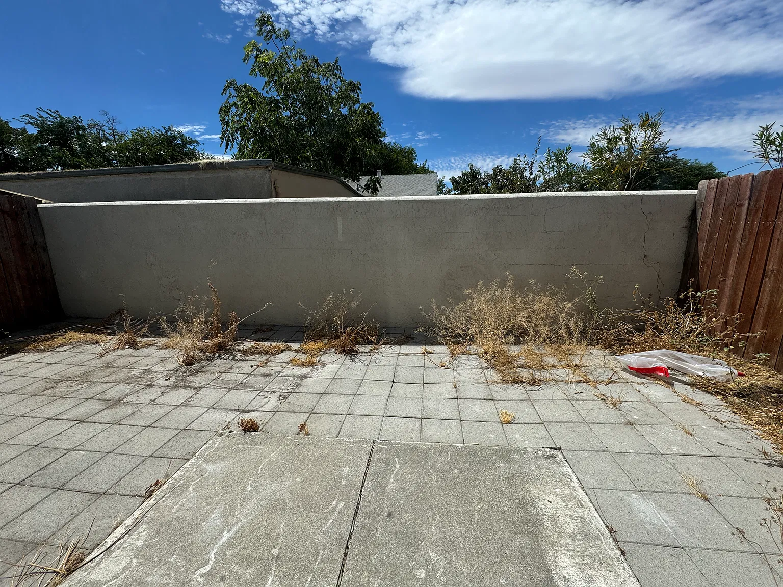 2 bed, 1110 sqft, $2,350 — Photo 3