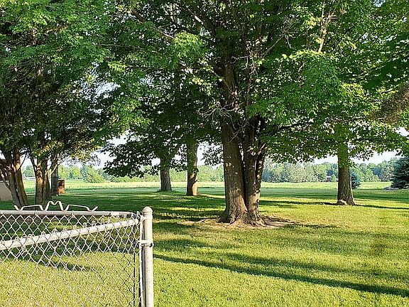 Backyard including shed
