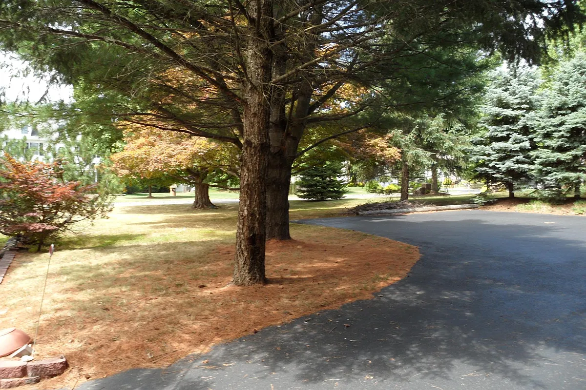Private Rear off-street parking lot - 61 Hillcrest Blvd #C