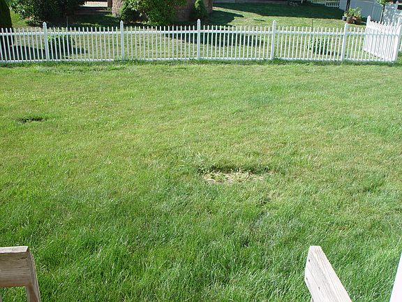 Partial Fenced Yard