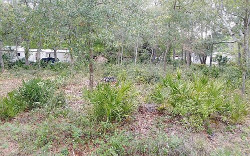 1st image of 94192 Winterberry Ave