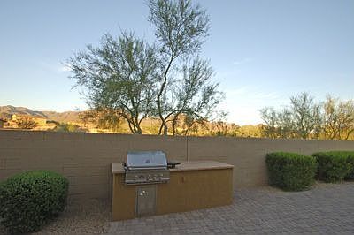 Mesquite Collection - 3