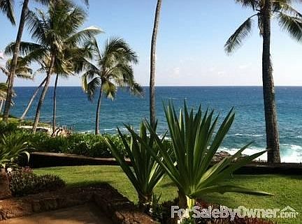 Front Yard view from Patio
						:
						Sea Turtles are coming up for air