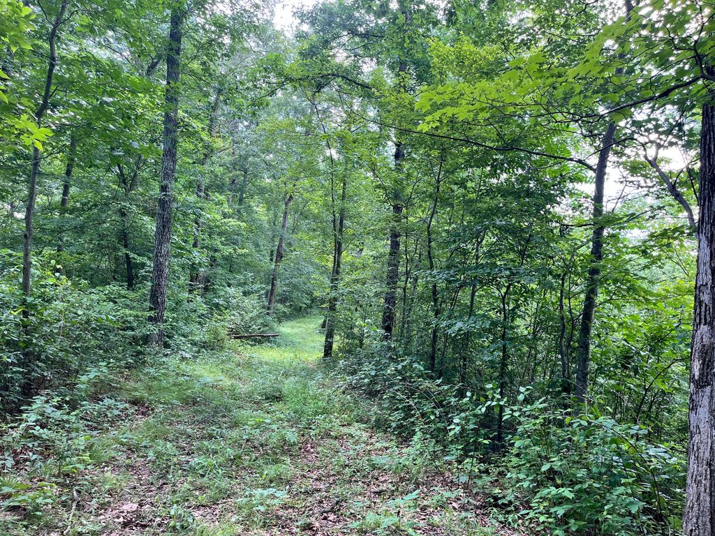 Real estate listing image