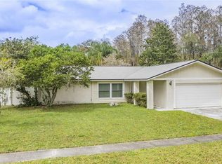 5439 Ripple Creek Dr, Tampa, FL 33625