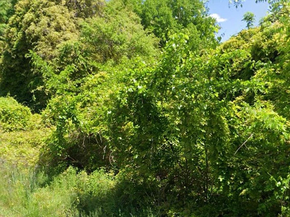 3180 Denniston Rd, Alton, VA 24520 MLS 348765 Zillow