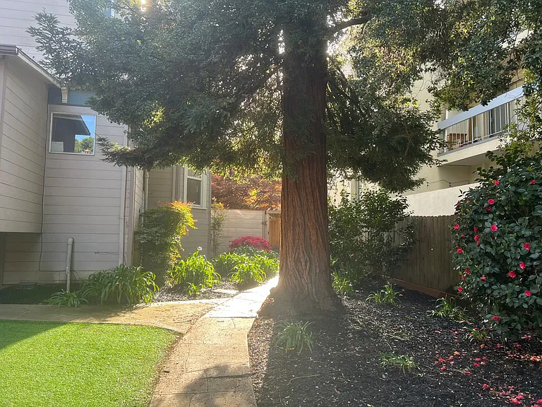 2530 College Ave #3 — Photo 23