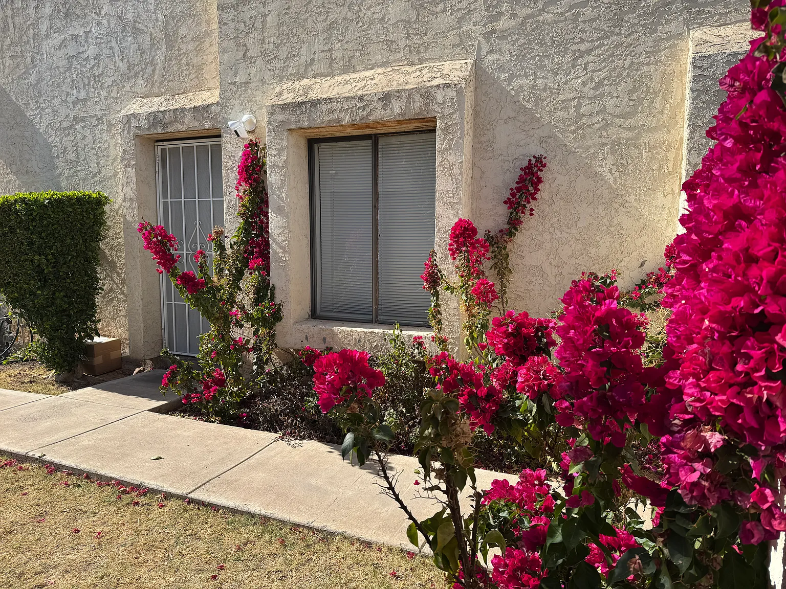 6932 E Earll Dr — Photo 4