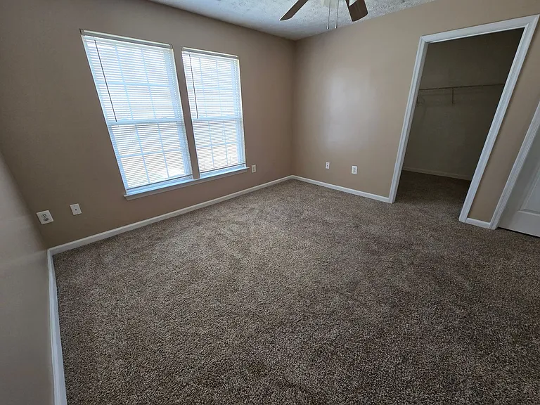 4927 Bristle Cone Cir — Photo 10