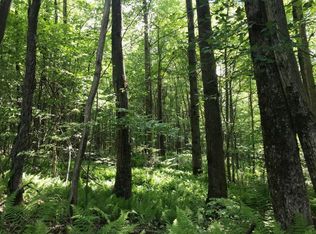 0 Warren Rd, Delhi, NY 13753