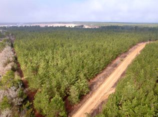 25.93Acres-4567 Dunham Rd, Bethune, SC 29009