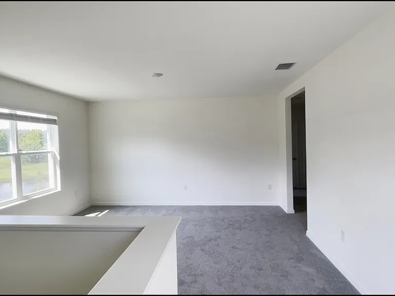 33367 Apricot Tree Ct — Photo 35