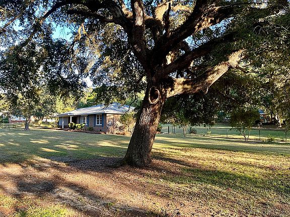 Tree filled large yard