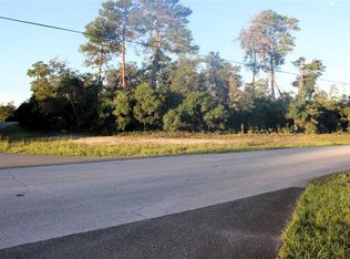 SW 176th Loop LOT 1, Ocala, FL 34473
