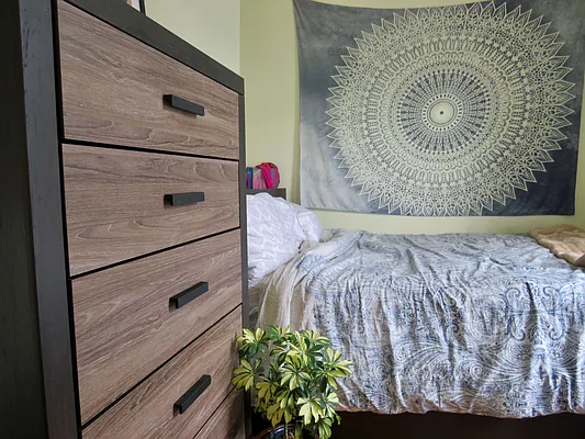 Rented by Halstead Real Estate | media 22