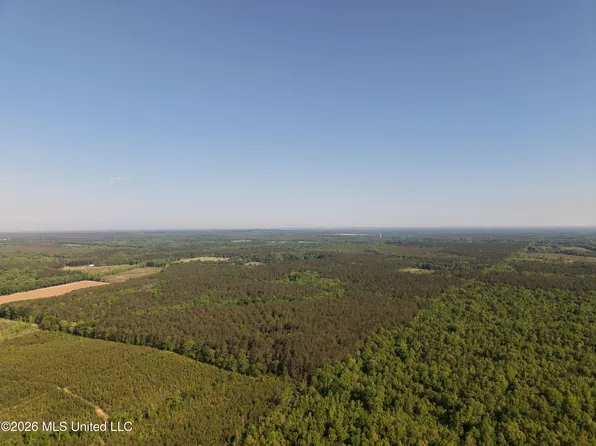 Old 46 Hwy, Houston, MS 38851