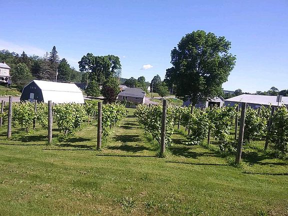 2nd image of 12501 County Highway 21