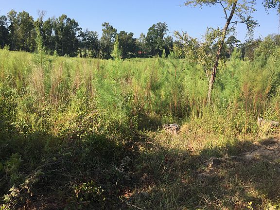 Lot 7 or 8 from road