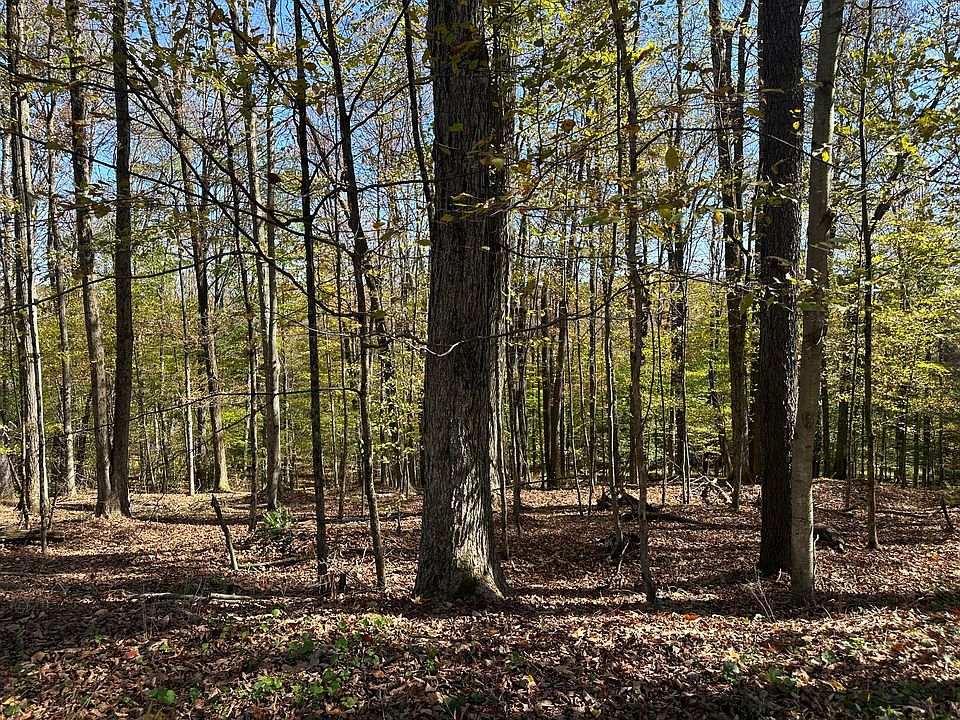 2nd image of Crooked Island Rd Lot 258