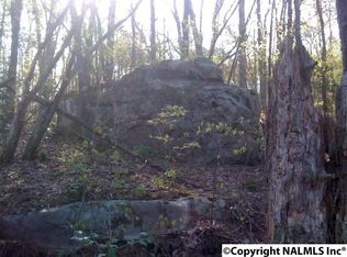 333 County Rd #165, Mentone, AL 35984