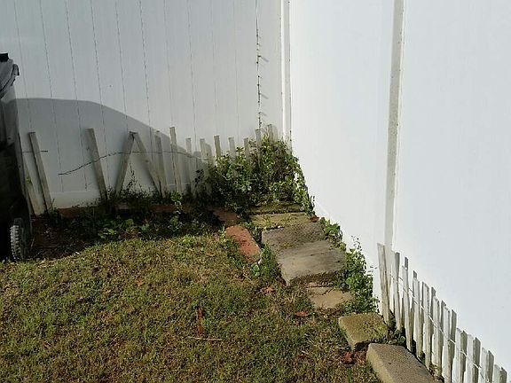 Back yard vynal fence