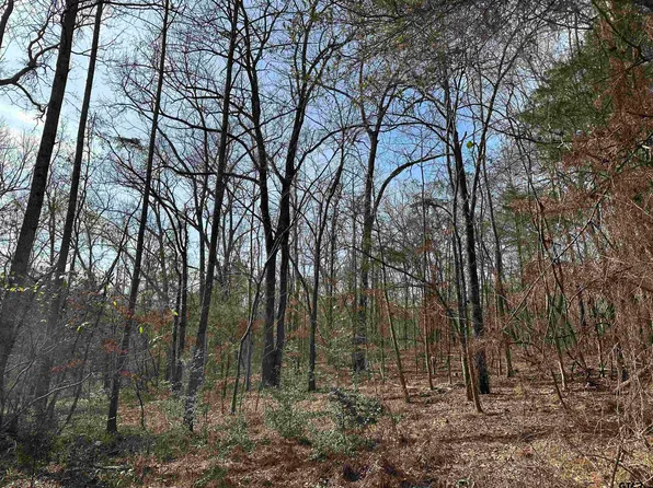 County Road 2439, Alto, TX 75925