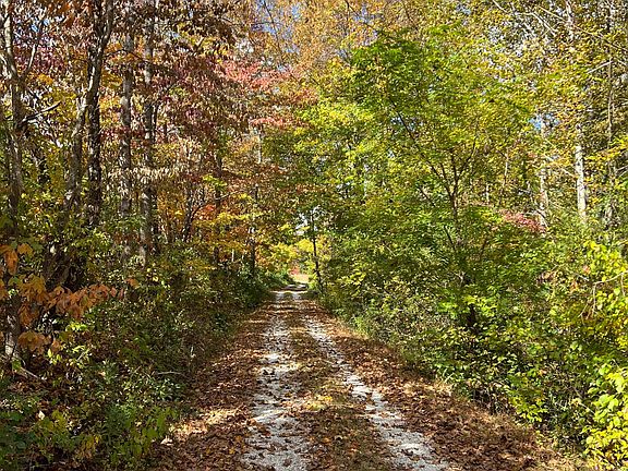 Secluded location (driveway to home)