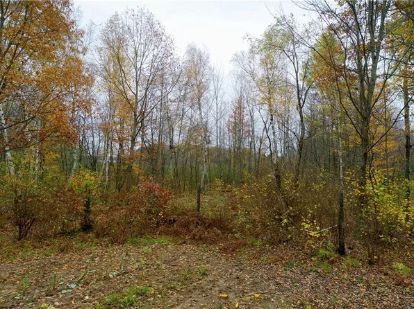 0 Juneks Point Road, Cable, WI 54821