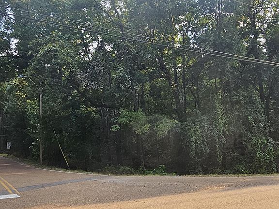 4th image of Shelby Dr