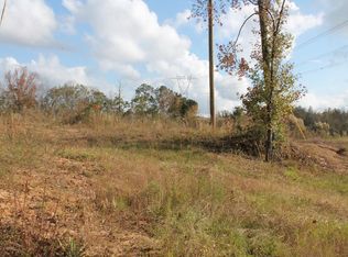 Raybon Rd, Ellaville, GA 31806