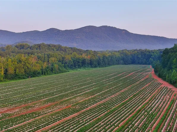 0 Fox Mountain Rd #1, Columbus, NC 28722