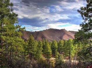 116 Cabin Creek Dr, Durango, CO 81301