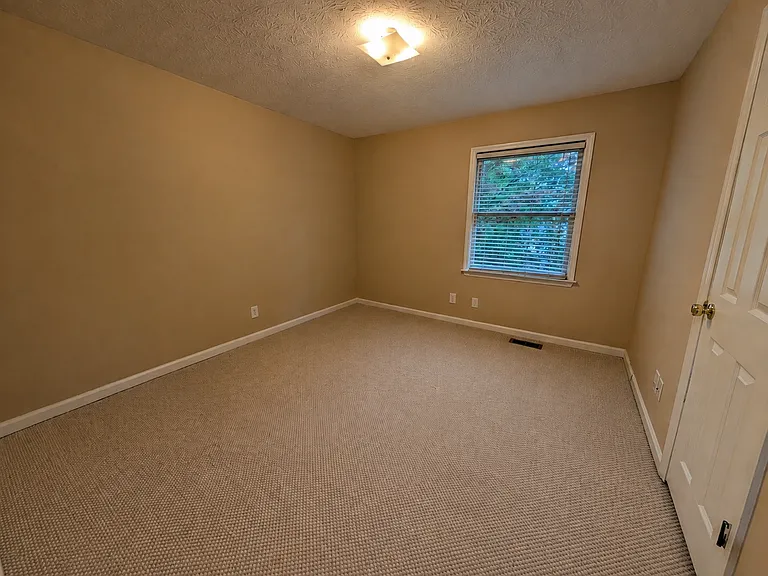 125 Pine Top Ct — Photo 21