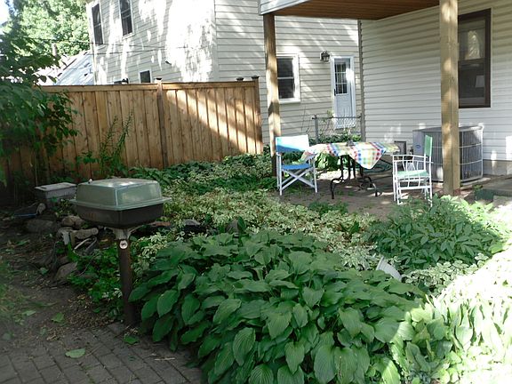 Back yard & House rear