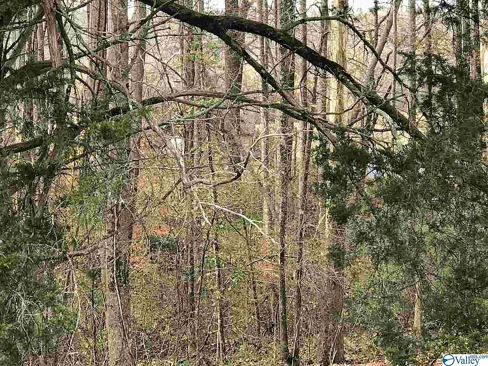 2nd image of 2310 Kirby Bridge Rd