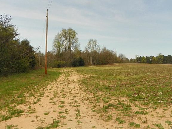 5th image of 259 County Road 64