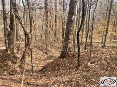 0 Fairview Church Rd, Mc Kenzie, TN, 38201