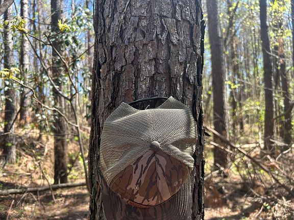 Photo Mar 23 2026 1 02 28 Pm