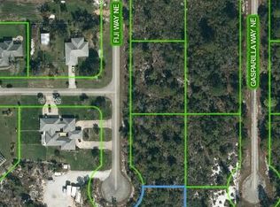 224 Figi Way NE, Lake Placid, FL 33852