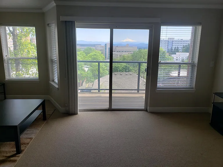 View from Living Room
