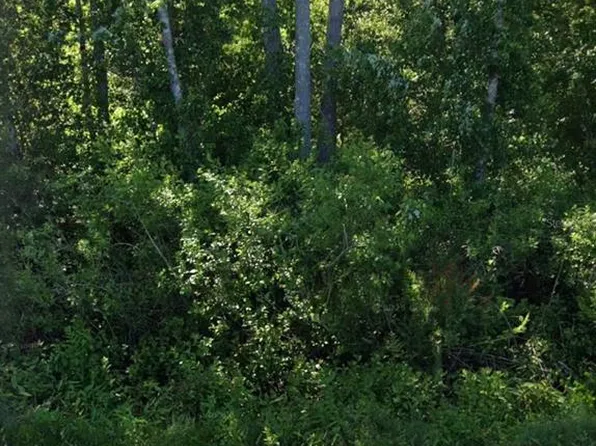2166 County Road 305 #18, Bunnell, FL 32110