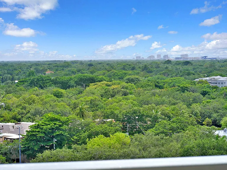 Window View