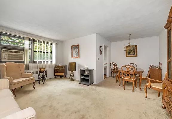 2nd image of 163-24 Willets Point Blvd #4-244
