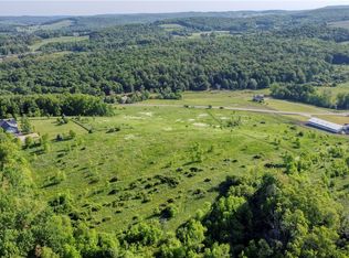 10033 Sawmill Run Rd #18, Little Valley, NY 14755