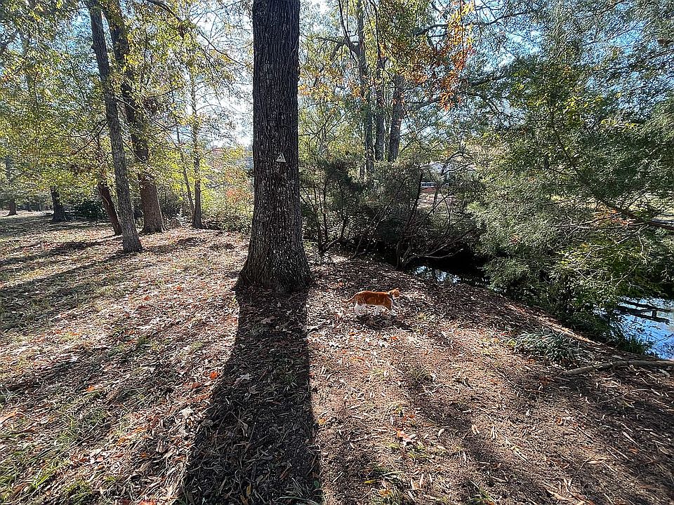 Creek along side house