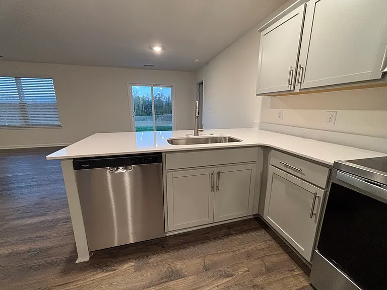 1011 Persimmon Holw — Photo 6